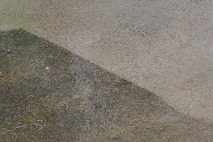 Concrete Before After