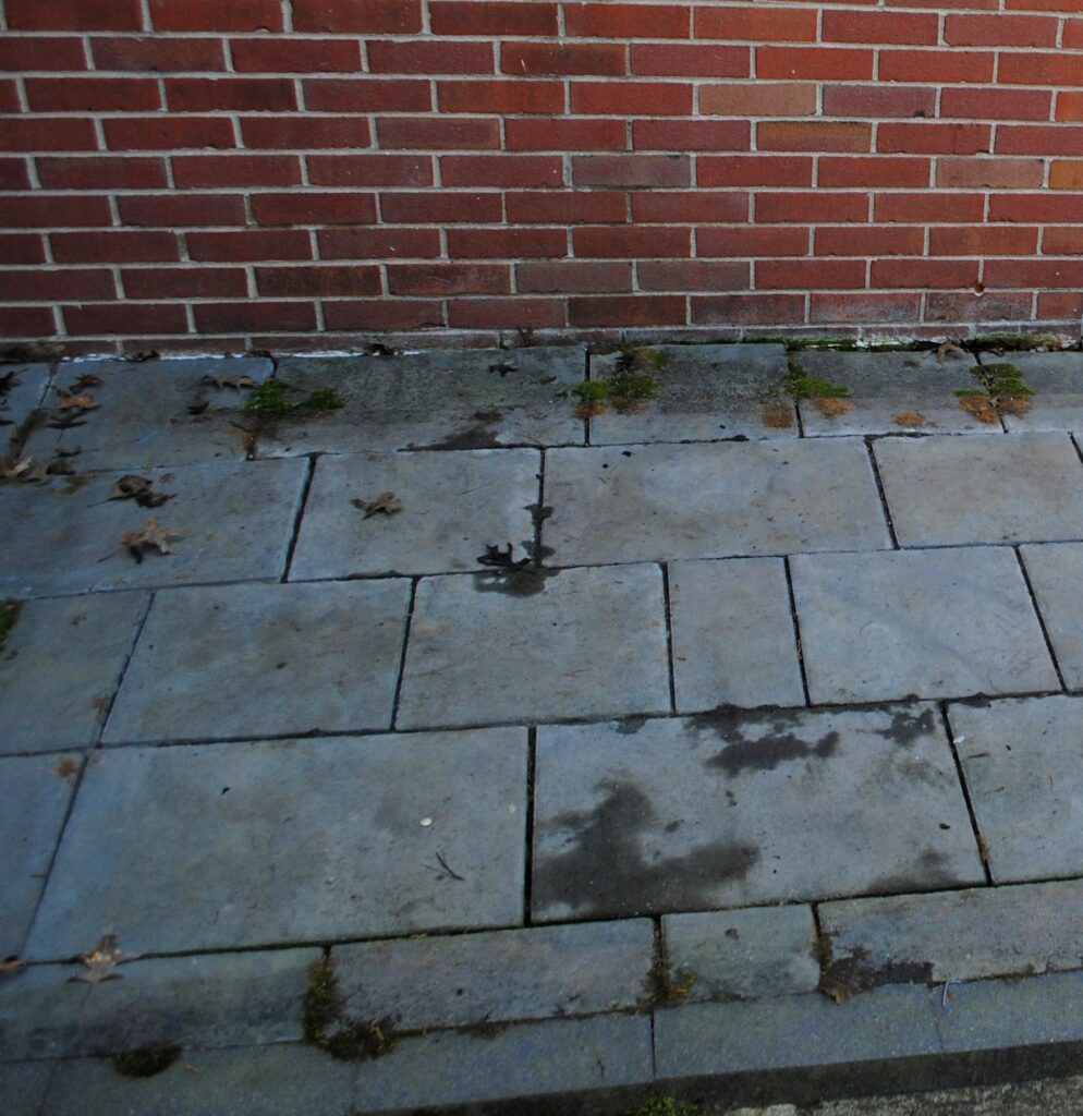 Brick wall above stone pavement with scattered leaves
